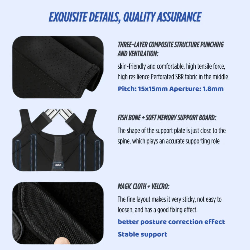 VerteGuard Pro
