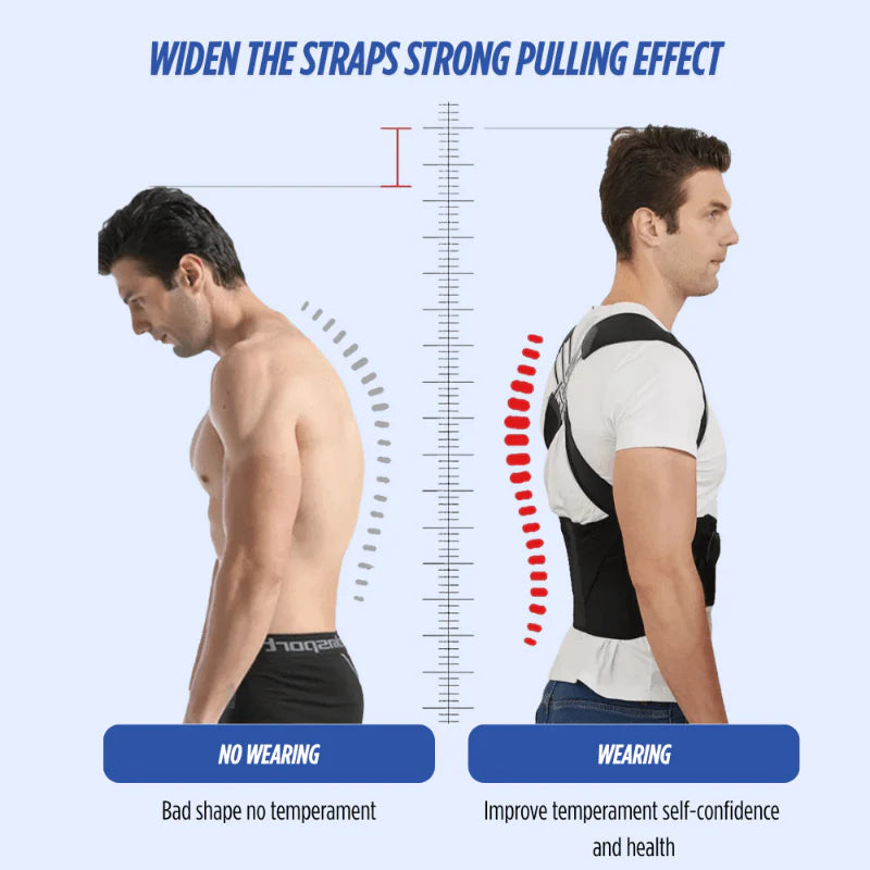 VerteGuard Pro