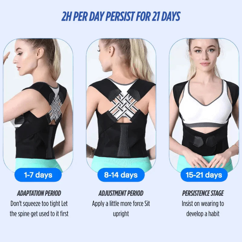 VerteGuard Pro