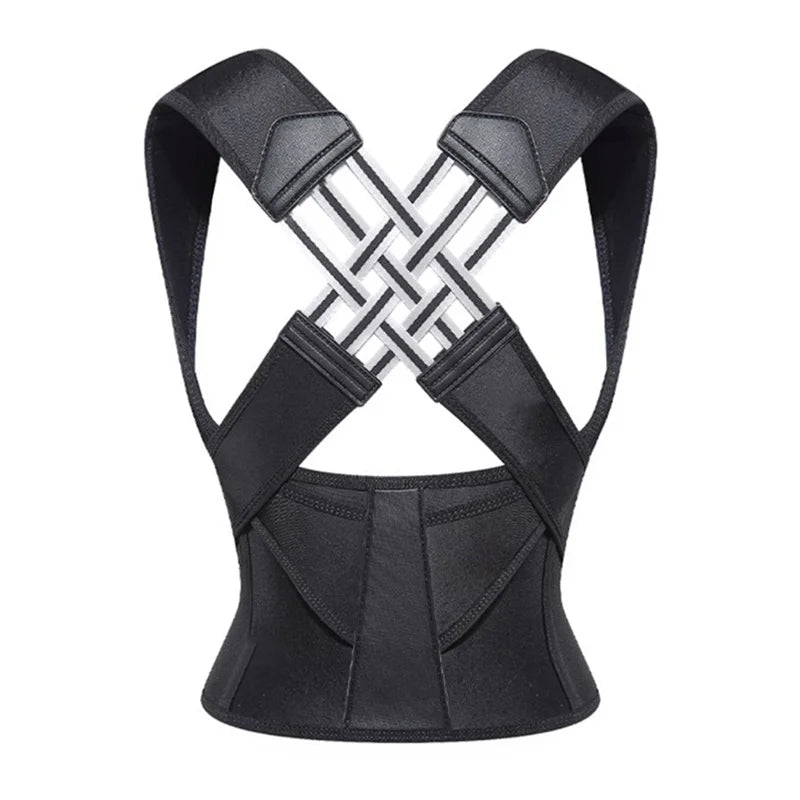 VerteGuard Pro