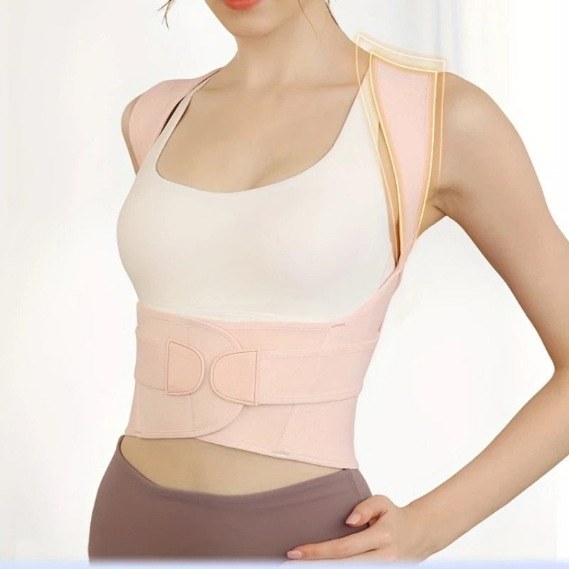 VerteGuard Pro