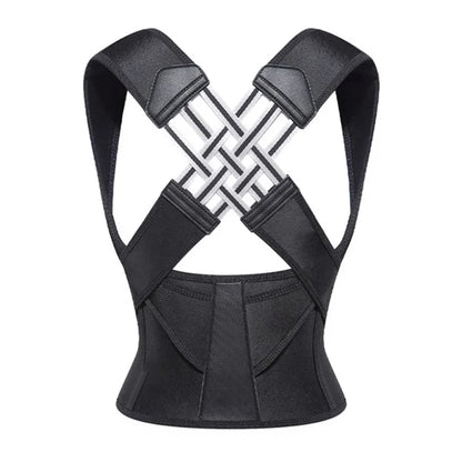 VerteGuard Pro