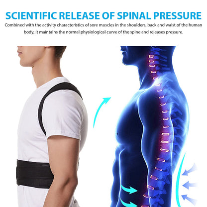 VerteGuard Pro Elite
